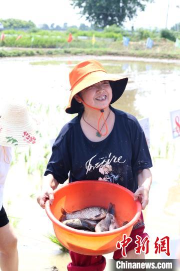 参加稻田徒手摸鱼的大妈高兴地展示着“战利品”。　钟学满 摄